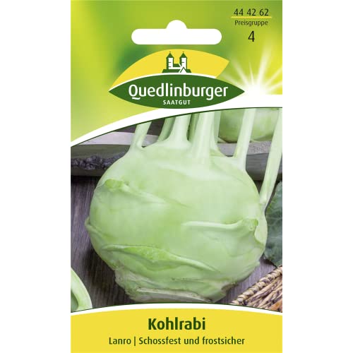 Kohlrabi, Lanro von Quedlinburger