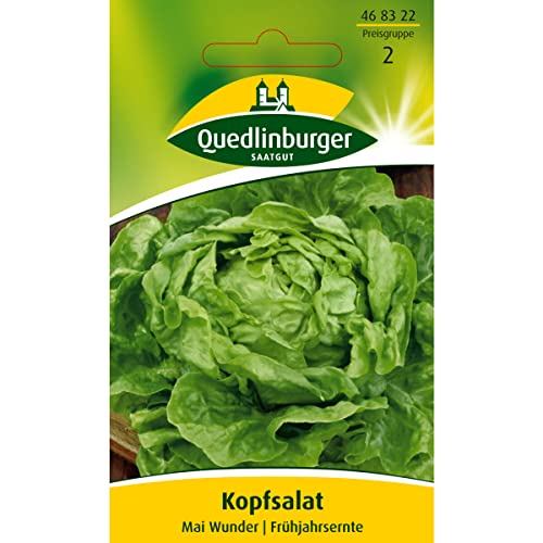 Kopfsalat, Mai Wunder von Quedlinburger