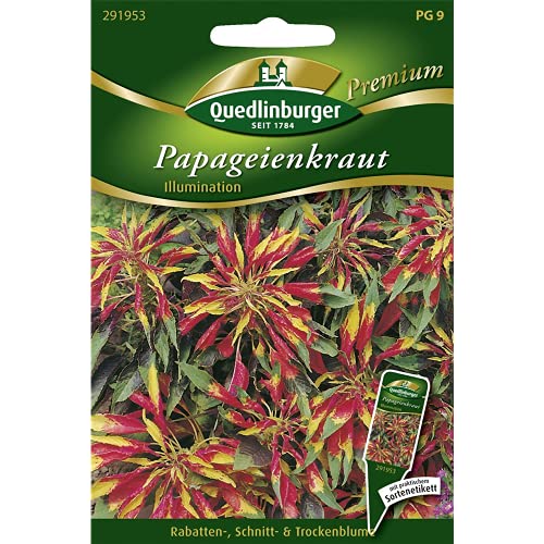 Papageienkraut Illumination QLB Premium Saatgut Blumen einjährig von Quedlinburger