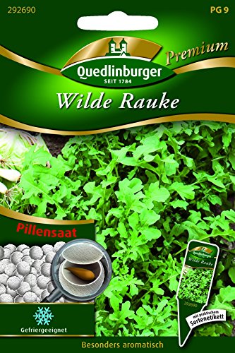 Pille Wilde Rauke QLB Premium Saatgut von Quedlinburger