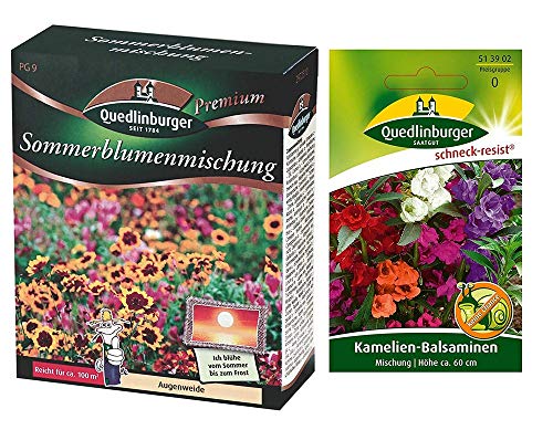 Sommerblumenmischung | Blumenwiese| 1x Kamelien-Balsaminen kostenlos (schneckenresistent) von Quedlinburger
