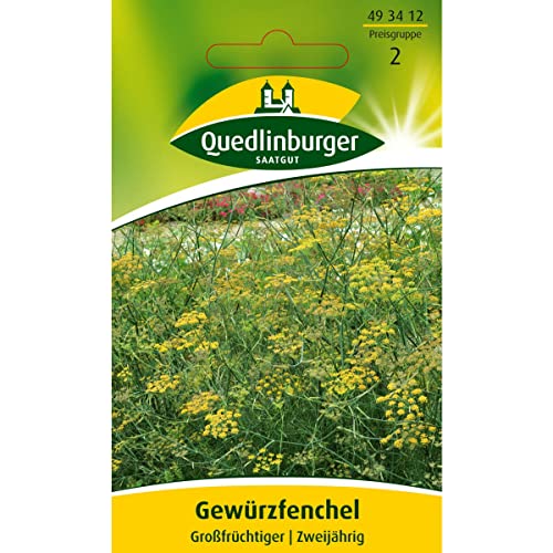 Quedlinburger Saatgut Gewürzfenchel, Großfrüchtiger Samen von Quedlinburger