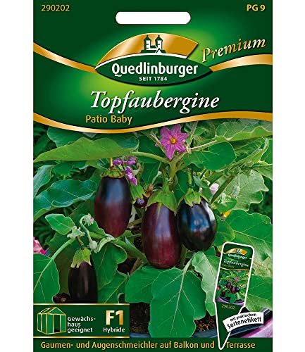 Topf Aubergine "Patio Baby",1 Portion von Quedlinburger