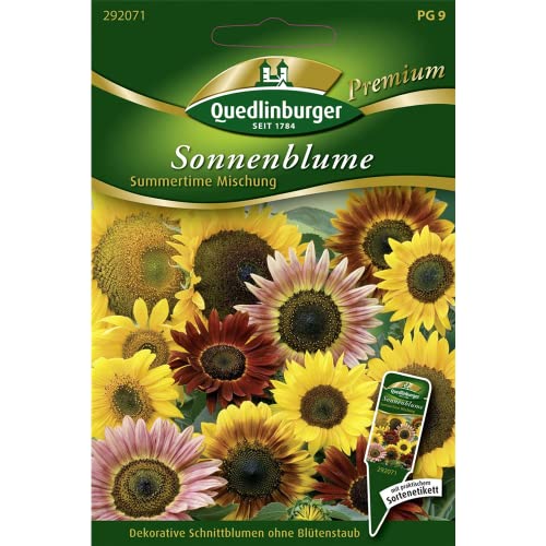Sonnenblumen, Summertime Mischung von Quedlinburger