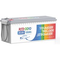 24V 100Ah LiFePO4 Batterie Redodo mit Max. 2560W Leistung, perfekter Ersatz für agm Batterie, 4000-15000 Tiefzyklus, 10 Jahre Lebensdauer, perfekt von REDODO