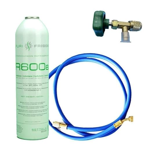 REPORSHOP - 1 R600 Kältemittelgasflasche + Schlauch + 420gr Isobutanventil von REPORSHOP