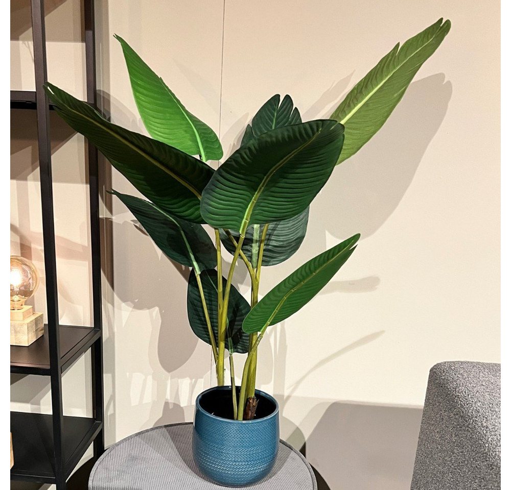 Kunstbaum Kunstpflanze Kalia in Grün aus Kunststoff 1000x700mm, RINGO-Living, Höhe 100 cm, Möbel von RINGO-Living