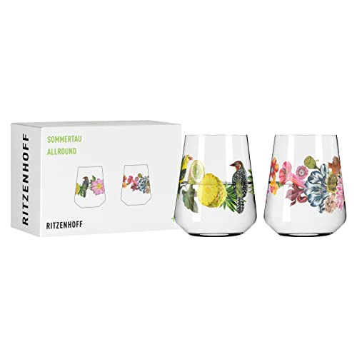 RITZENHOFF 2932001 Universalglas 2er-Set 500 ml – Serie Sommertau Allround – floraler Stil, mehrfarbig – Made in Germany von RITZENHOFF
