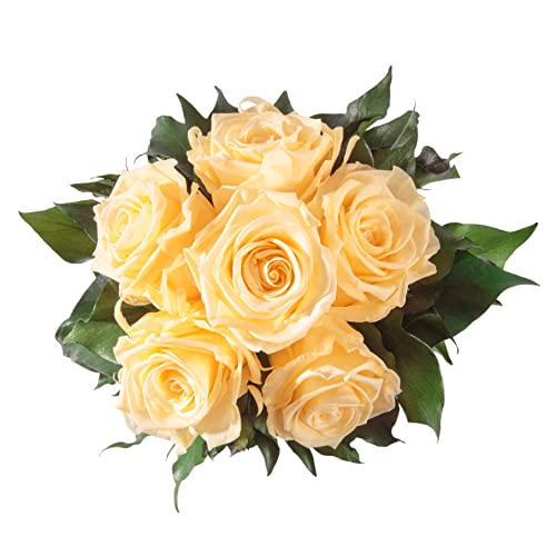 Blumenstrauss konserviert mit 6 Rosen - Rosemarie Schulz (Beige) von ROSEMARIE SCHULZ Heidelberg