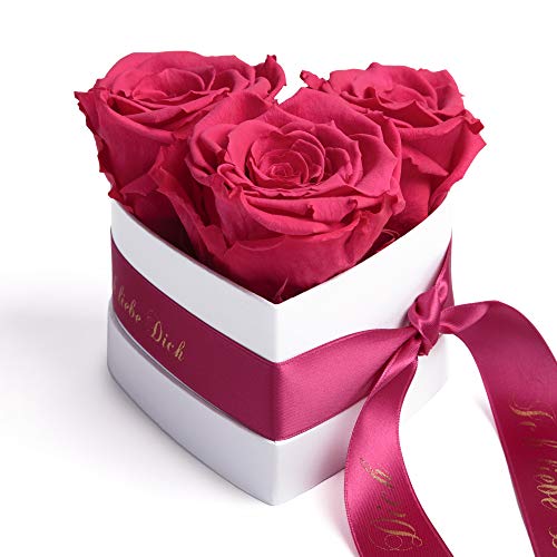 ROSEMARIE SCHULZ Heidelberg Infinity Rosenbox in Herzform mit konservierten Rosen in Pink Geschenk zum Valentinstag (Pink, Small) von ROSEMARIE SCHULZ Heidelberg