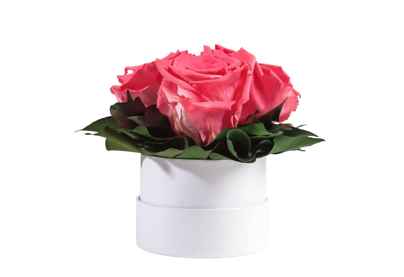 Kunstblume Infinity Rosenbox weiß rund 3 echte Rosen konserviert Rose, ROSEMARIE SCHULZ Heidelberg, Höhe 10 cm, Geschenk für Sie Rosen von ROSEMARIE SCHULZ Heidelberg