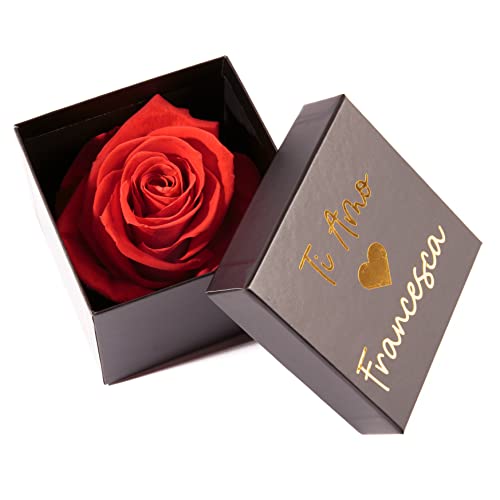 ROSEMARIE SCHULZ Heidelberg 1 rote Infinity Rose konserviert 8,5x8,5 cm haltbar 3 Jahre personalisierbare Rosenbox (Rot, Personalisiert) von ROSEMARIE SCHULZ Heidelberg