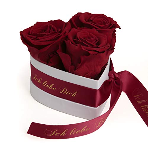 ROSEMARIE SCHULZ Heidelberg Infinity Rosenbox Herzform - 3 ewige Rosen Dunkelrot haltbar 3 Jahre 10 x 12 cm (Burgundy, Small) von ROSEMARIE SCHULZ Heidelberg