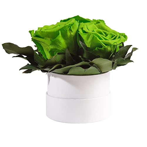 ROSEMARIE SCHULZ Heidelberg Infinity Rosenbox weiß rund konservierte Blumen Grün - 3 Infinity Rosen Durchmesser 15 cm - Geschenk für Frauen (Grün, Medium) von ROSEMARIE SCHULZ Heidelberg