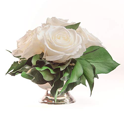 ROSEMARIE SCHULZ Heidelberg Rosenbox Blumenbox Infinity Rosen in silberfarbener Schale 6 ewige Rose konserviert Blumenarrangement langhaltend (Weiss, 6 Rosen) von ROSEMARIE SCHULZ Heidelberg