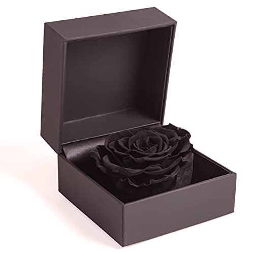 ROSEMARIE SCHULZ Heidelberg Rosenbox 1 Infinity Rose schwarz konserviert - 11 x 11 cm Ringdose mit Blume Schlafsack Füllmaterial, Kissentyp (Schwarz) von ROSEMARIE SCHULZ Heidelberg