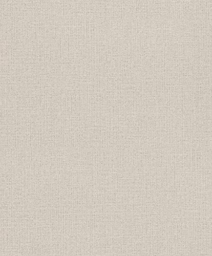 Rasch Tapeten Vliestapete (universell) Beige 10,05 m x 0,53 m Andy Wand 639629 von Rasch