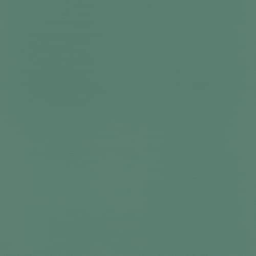 Rasch Tapete 807615 - Einfarbige Vliestapete in Grün mit leichter Struktur - 10,05m x 0,53m (L x B) von Rasch