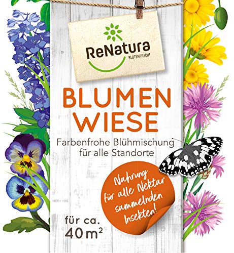 Greenfield ReNatura® Blumenwiese Gräser Blumen Farbenfrohe Blühmischung für alle Standorte 0,275kg für ca. 40 m² von ReNatura