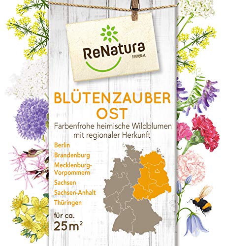 Greenfield ReNatura Blütenzauber Wildblumen Blumen Samen Region Ost 0,275kg für ca 25 m² von ReNatura