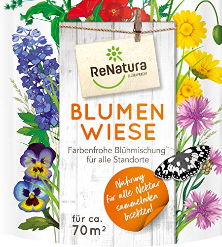 ReNatura® Blumenwiese Wiesenblumen und -kräutern für alle Standorte mehrjährig 0,5kg für ca 70 m² von ReNatura