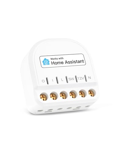 Refoss Mini WLAN Smart Relais Schalter mit Home Assistant, 10A Smart Lichtschalter mit Strommessung, 1 Gang Intelligenter Schalter zur Steuerung der Garagentor, Kompatibel mit Alexa, Google, 1 Stück von Refoss