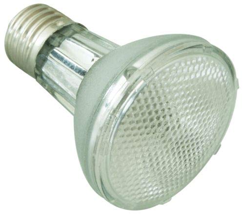 ReptiZoo Mini Halogen Spot (UVA Basking) Lampe 35 Watt (PAR2035) von ReptiZoo
