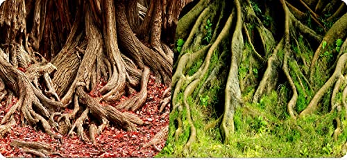 Reptiles Planet Poster Amazonian Tree Roots 2 Seiten, 15 m, 50 cm Höhe von Reptiles-Planet