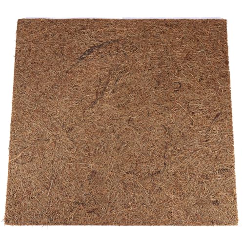 Reptiles Planet Rückwand für Reptilien/Amphibien Jungle Coco Background 50 x 50 x 1 cm von Reptiles-Planet