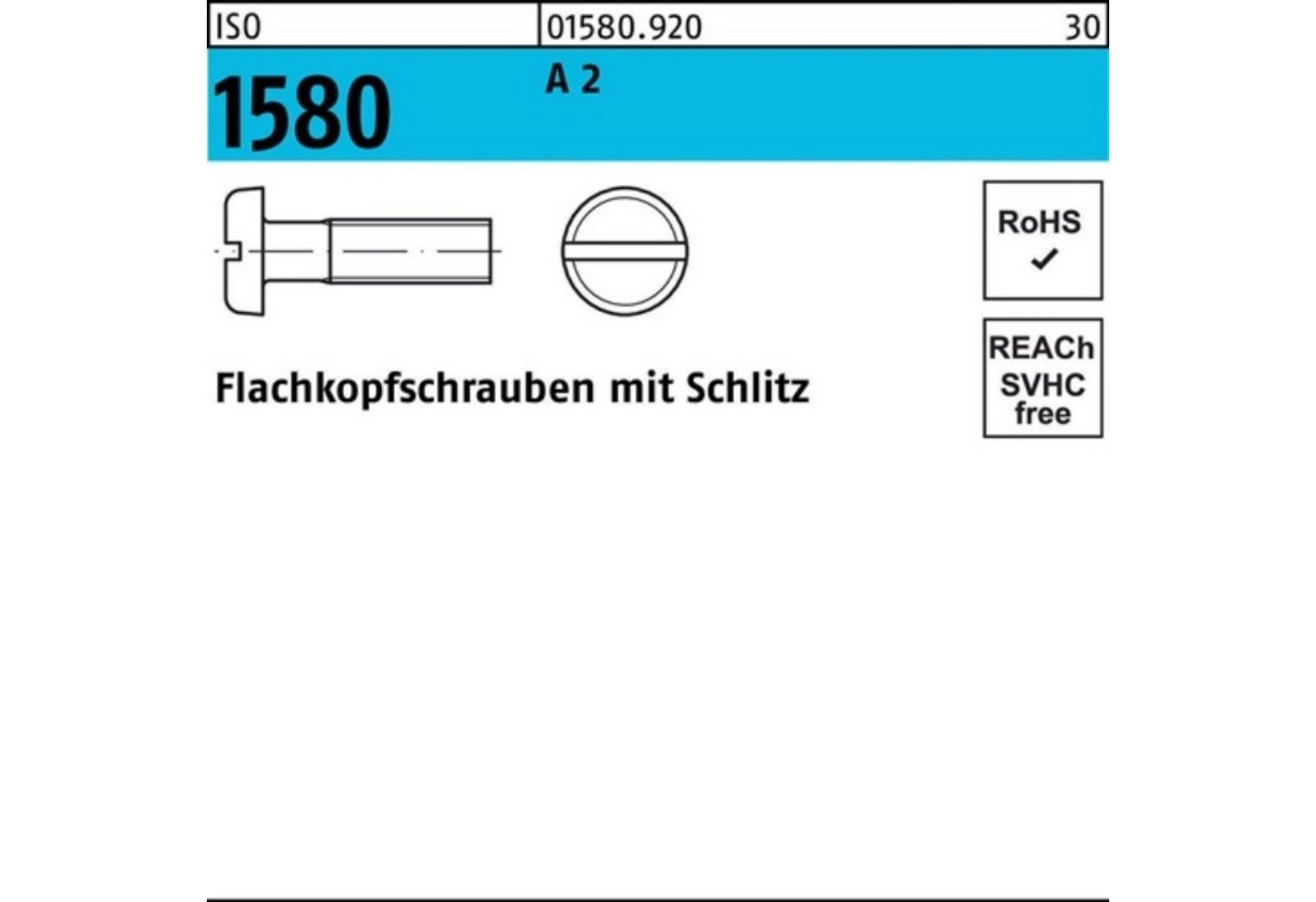 Reyher Schraube 100er Pack Flachkopfschraube ISO 1580 Schlitz M6x 16 A 2 100 Stück IS von Reyher