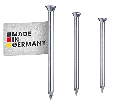 Rikama - 100 Bildernägel - Stahlnägel für den Einsatz in Ziegelstein, Putz & Holz geeignet (16 mm) von RiKaMa ONLINEVERSAND AUS EINER HAND