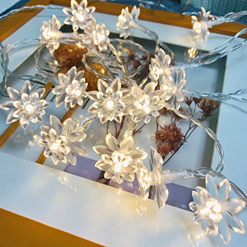 Riaxuebiy Lotus Lichterkette LED Lotusblumen Lichterkette an PVC Schnur Batteriebetrieben für Weihnachten Party Hochzeit Terrasse Garten Dekoration (3m/20led, Lotus) von Riaxuebiy