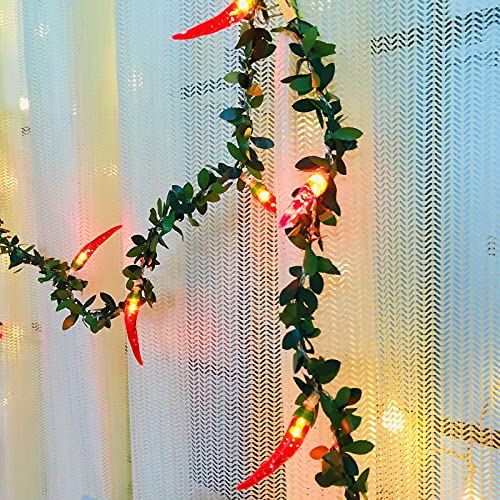 Riaxuebiy Rot Chili Lichterketten 80 LED Seil Feen Nachtlicht Pfeffer Chili Lampen USB Warmweiß für Weihnachten Hochzeit Urlaub Party Dekoration (Chili-C, USB) von Riaxuebiy