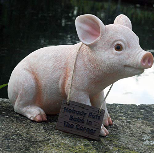 Baby-Schweinchen aus Kunstharz, mit Aufschrift "Nobody puts babe in the corner", 15 cm hoch von RinTalen