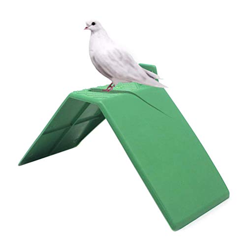 Roexboz 10 Stück Taubenständer, Sitzstangen für Vogelkäfige Kunststoff Taubenständer Rutschfeste Taube Vogelstange Vogelkäfig Halter Zubehör für alle Tauben, Grün von Roexboz