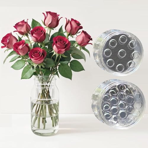 Roinaid 2 Stücke Blumenstielhalter Transparent Blumenstielhalter Spiralstielhalter Ikebana Stielhalter Spiral Spiralstielhalter Für Vasen Spiralstielhalter Für DIY Blumenstrauß 2 Größen von Roinaid