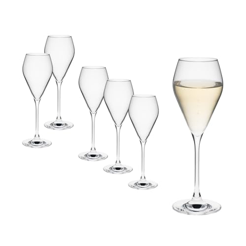 Rona2serve Champagnergläser 6 Gläser Set Serie Mode, Prosecco Glas mit moderner und markanter Form, spülmaschinenfest, Premiumqualität von Rona2serve