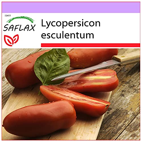 SAFLAX - Tomate - San Marzano - 10 Samen - Lycopersicon esculentum von Saflax