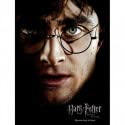 Harry Potter - Impression en Verre - Harry Face- 30X40 cm von SD TOYS