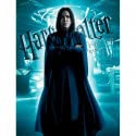 Harry Potter - Impression en Verre - Snape - 30X40 cm von SD TOYS