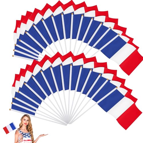 Kleine französische Flagge,kleine französische Flagge mit Kunststoffstab,Mini-Handheld-Frankreich-Flagge,französische Nationalflagge,zur Feier der Weltmeisterschaft,14 x 21 cm,30 Stück von SEMINISMAR