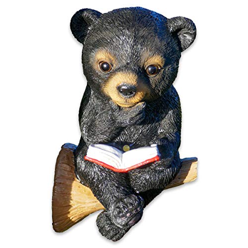 SHACAMO Baumtiere mit Solarlicht Bär oder Eichhörnchen mit Buch (Bär schwarz) von SHACAMO