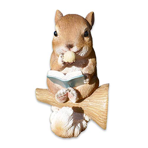 SHACAMO Baumtiere mit Solarlicht Bär oder Eichhörnchen mit Buch (Eichhörnchen braun) von SHACAMO