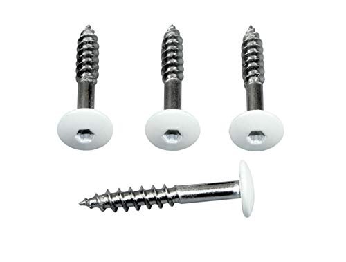 SN-TEC Fassadenschrauben Rostfrei Edelstahl V4A 5,5 x 55 mm, weiß Pulverbeschichtet RAL 9010 mit Torx T20 Aufnahme (Mengenauswahl möglich) (10) von SN-TEC