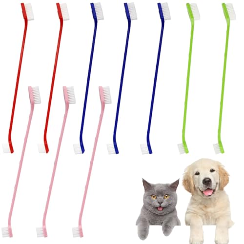 SSRDFU 10 PCS Hund Zahnbürste - Haustier Zahnbürste, Langem Griff Hundezahnbürste für kleine bis große Hunde und Katzen von SSRDFU