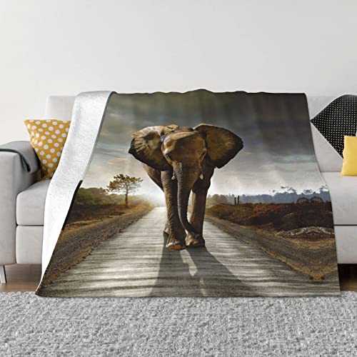 Elefant Multi-Size Ultra-Soft Flanell Decke (horizontal) Plüsch Sofa Decke ist leicht und warm von SUAQUE