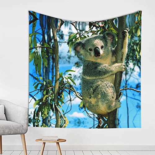 SUAQUE Dekorativer Wandteppich mit Bären-Koala-Motiv, 150 x 150 cm, ultrafeine Faser, dekorativer Wandteppich, Wanddecke von SUAQUE