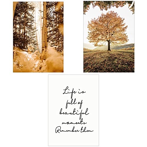 SWECOMZE 3er Premium Poster Set - Herbstlicher Wald Kürbis, Wandposter Posterset,Ohne Rahmen Stilvolle Wand Deko Bild für Schlafzimmer und Wohnzimmer (B,40 x 50 cm) von SWECOMZE