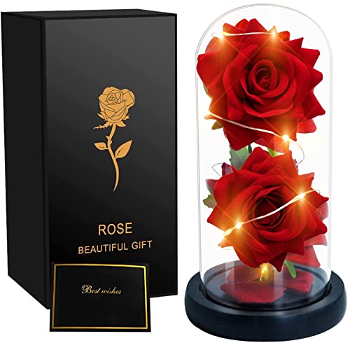 SWEETIME Die Schöne und das Biest Rose Geschenk für sie, ewige Rose im Glas,Beste Rosen Geschenke für Hochzeit Dekor Weihnachten Muttertag Valentinstag Jubiläum Hochzeitsgeschenk Kit (Rot) von SWEETIME