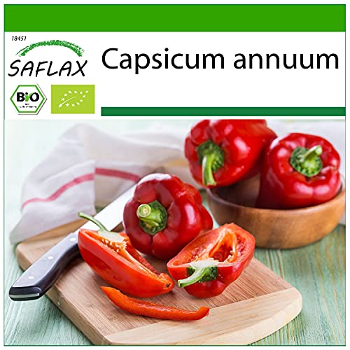 SAFLAX - BIO - Paprika - California Wonder - Rot - 20 Samen - Mit keimfreiem Anzuchtsubstrat - Capsicum annuum von Saflax